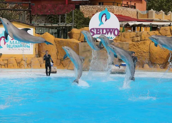 아파트 Aries Flat *